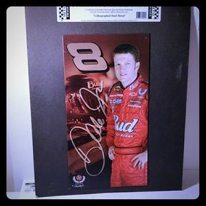 Dale Jr. Lithographed metal sign~ like new